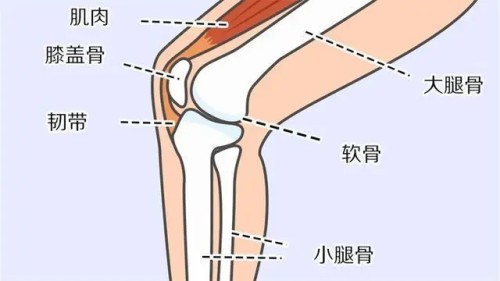 图片 2.jpg