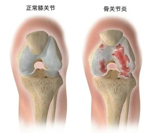 图片 2.jpg